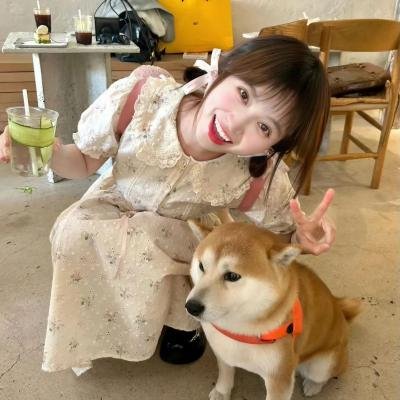 家有超能迪翁第二季